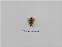 藏品(蔬菜害蟲)的圖片